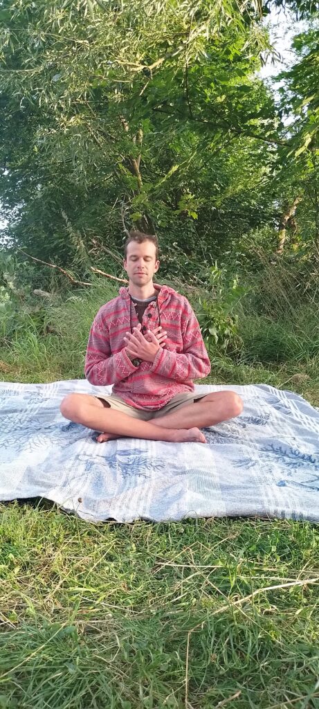 Markus Kube Cat Cow Festival scaled