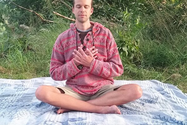 Markus Kube Cat Cow Festival scaled