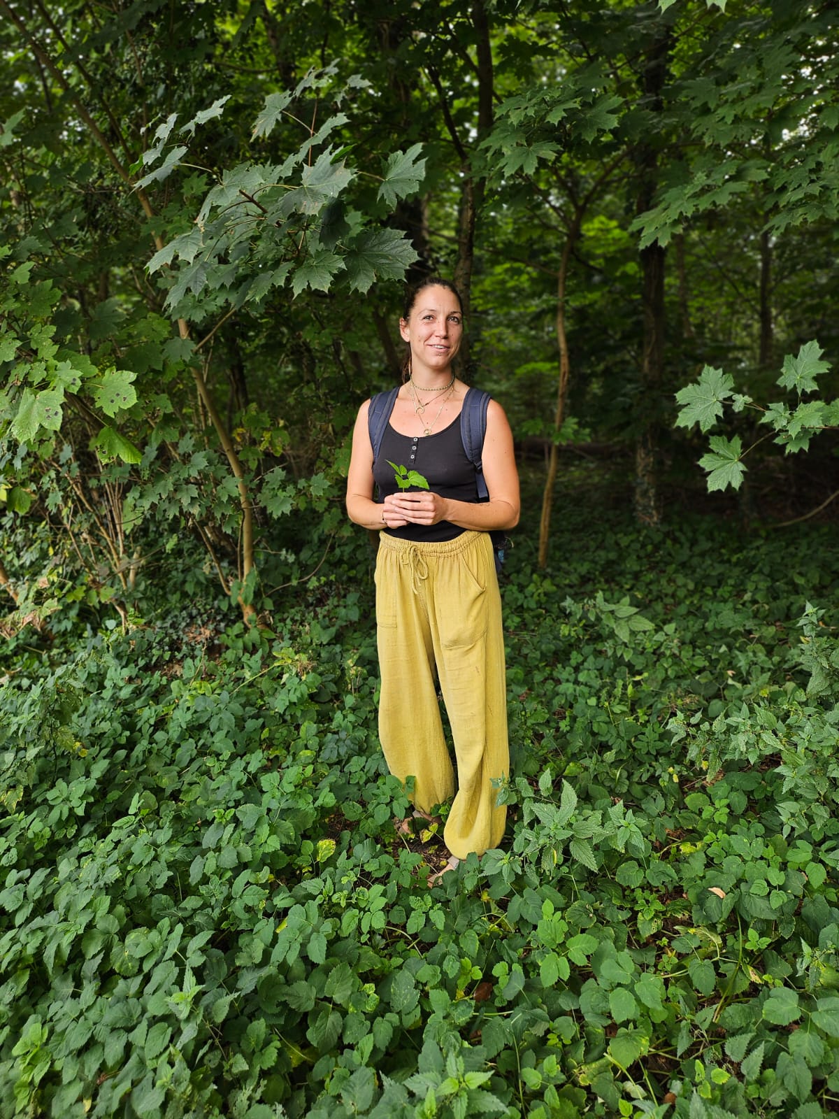 Cat cow festival bianca