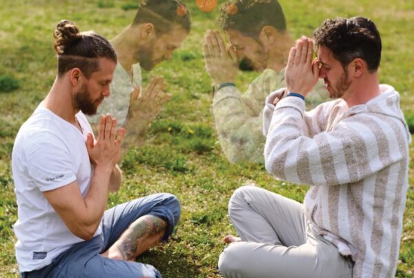 cat cow festival marko kreddig