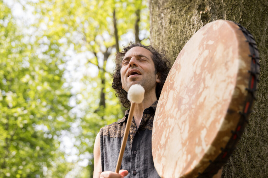 cat cow festival babek2 scaled