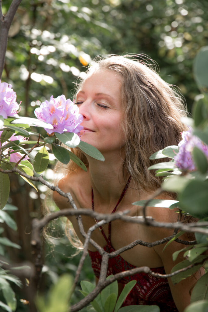 cat cow festival janett scaled