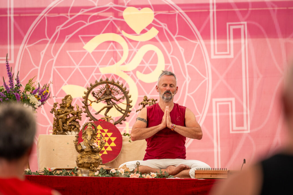 cat cow festival ramadhuta