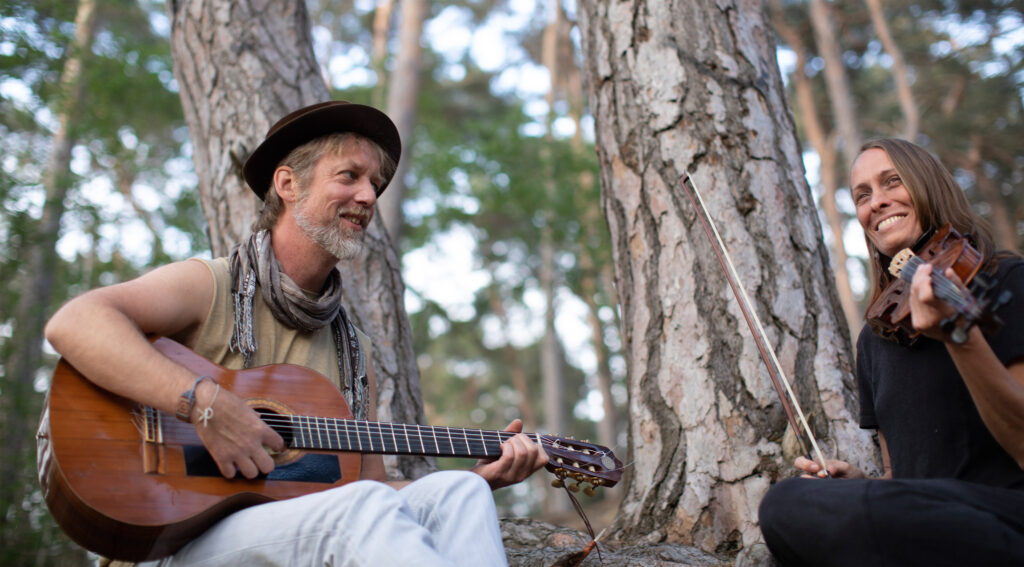 cat cow festival yopi lotta scaled