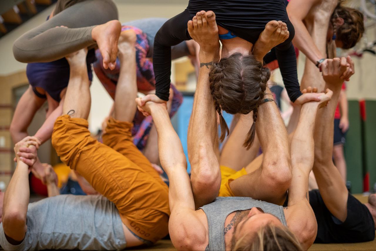 cat cow festival acronfire 2