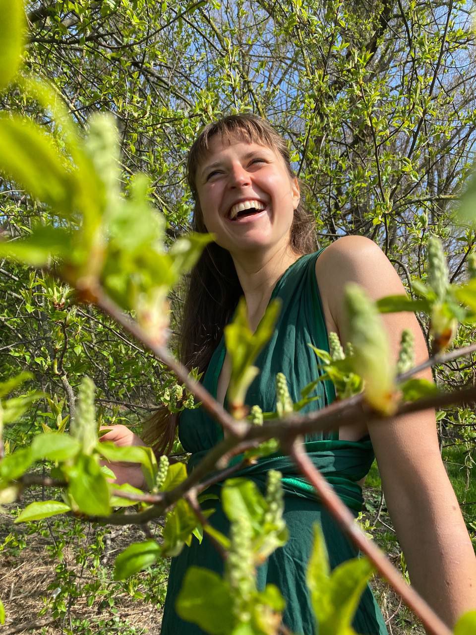 cat cow festival acronfire 4