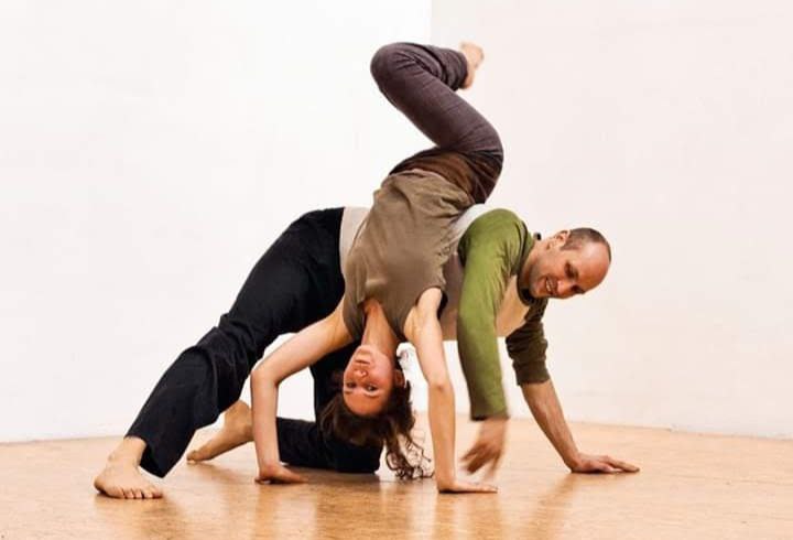 cat cow festival acronfire 5