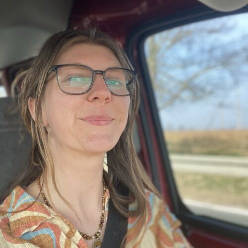 cat cow festival louisa social media