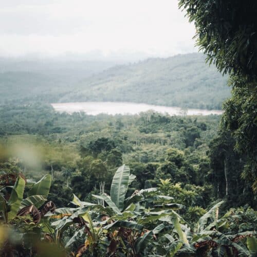 Retreat Peru Ayahuasca 1 2fe7814650f0a4f8b2938036c7bdd65c.jpg