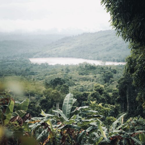 Retreat Peru Ayahuasca 1 fe7258314de06b3485caf6323ffc64fd.jpg