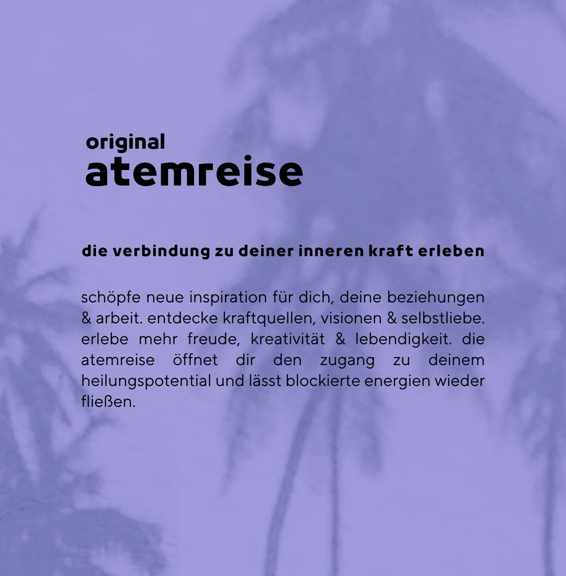 original atemreise mit liane adam . cat cow . community 0fb99bd49e750e5dbc88c8b693a0862d.jpg