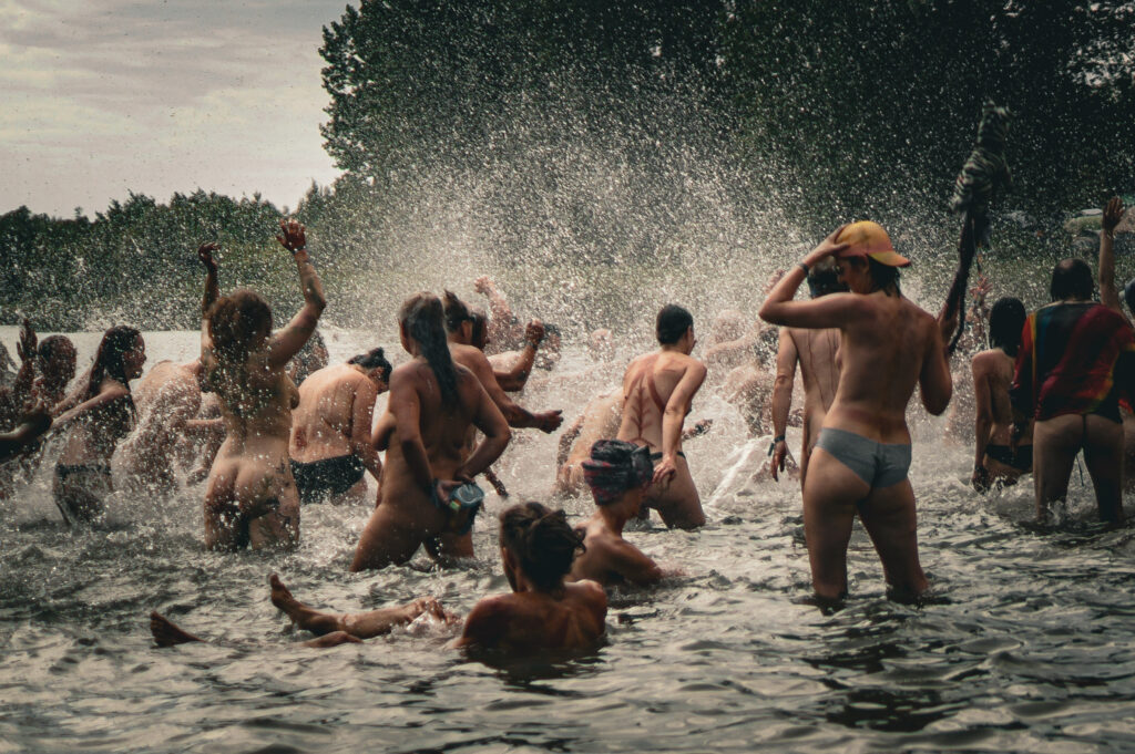 Cat & Cow Festival Wild