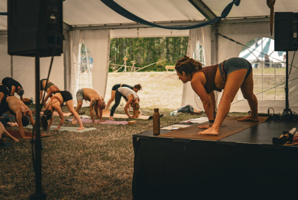 Cat & Cow Mari Shakti