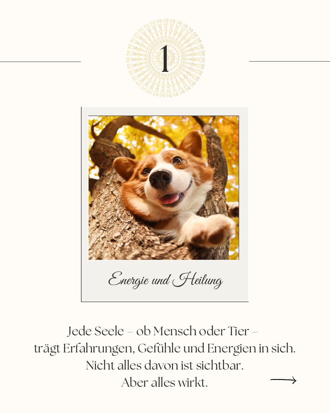 Beige Simple Modern Small Business Launch Checklist Carousel Ins 1240a5bb2491a65d8c8e649b2b84b127.jpeg