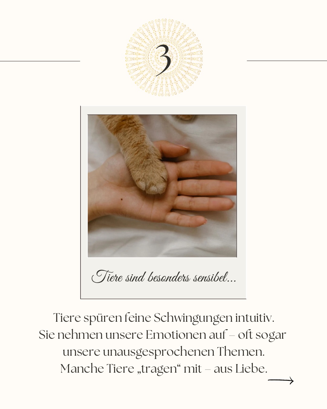 Beige Simple Modern Small Business Launch Checklist Carousel Ins 51fc3c7ae4e1f9bbbb7d2086ffa30638.jpeg