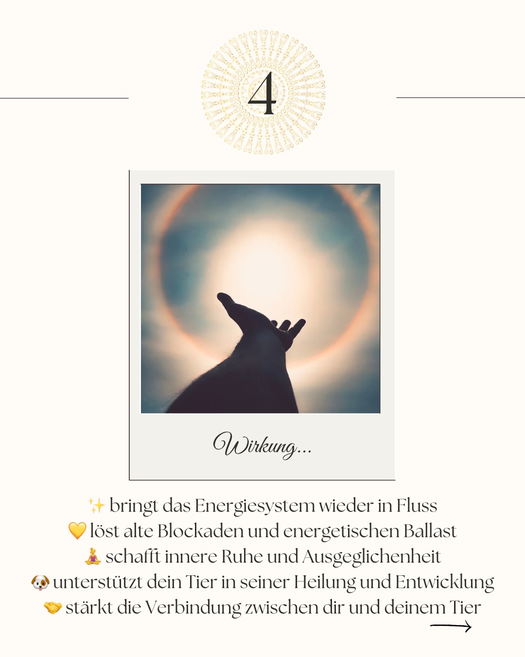 Beige Simple Modern Small Business Launch Checklist Carousel Ins a062064966d8ea3c369ed1eaa6ada7a2.jpeg