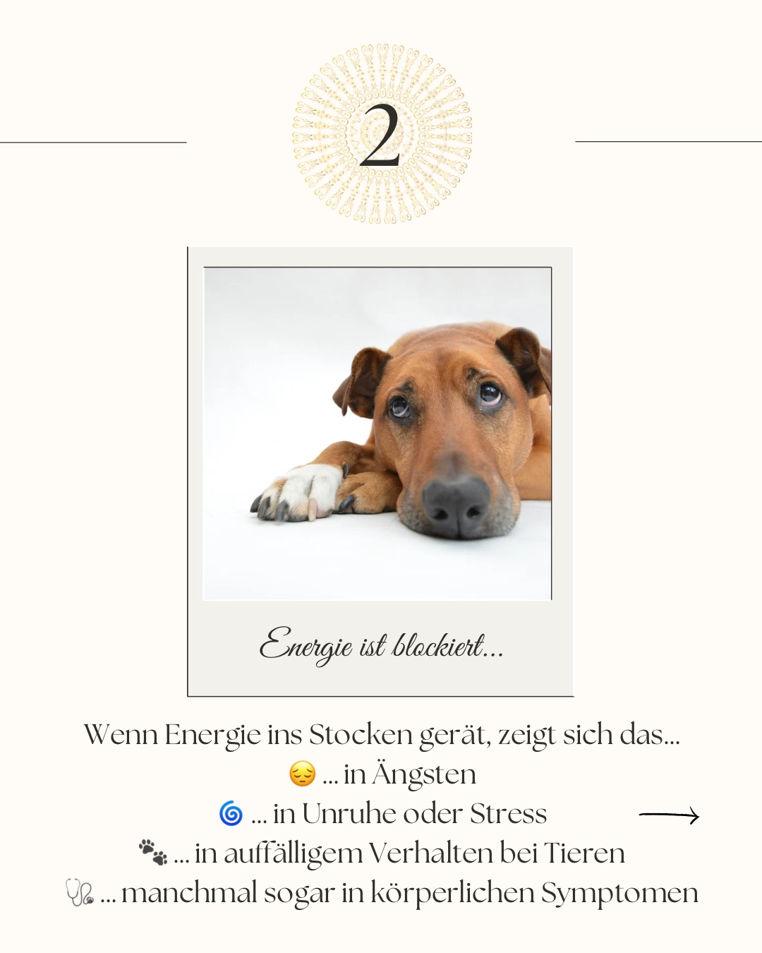 Beige Simple Modern Small Business Launch Checklist Carousel Ins e6c8fcae570f9274f1f3d662997786c5.jpeg