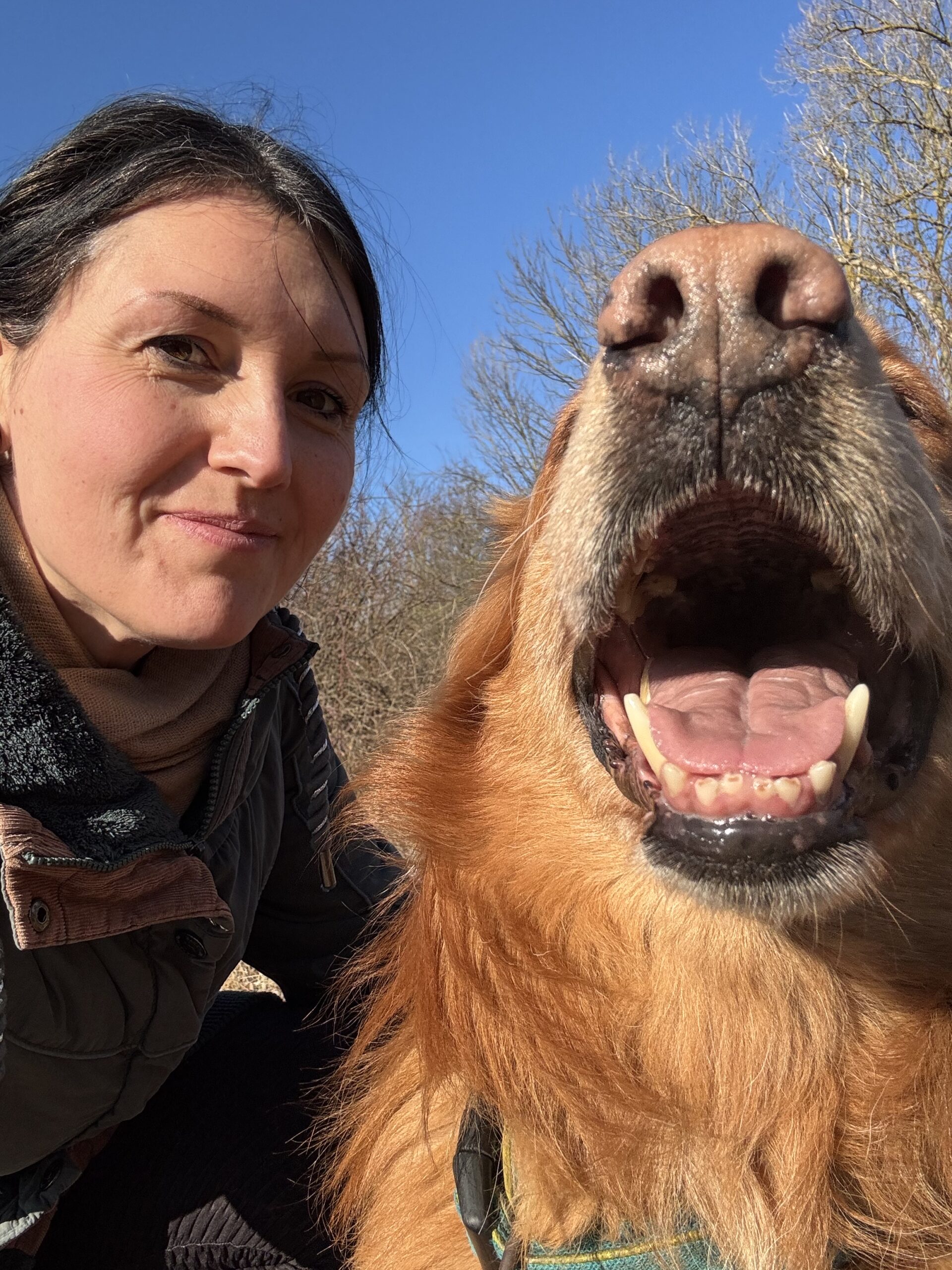 IMG 0046 a57218684d2ab26c7994a7091a4e8626.jpeg