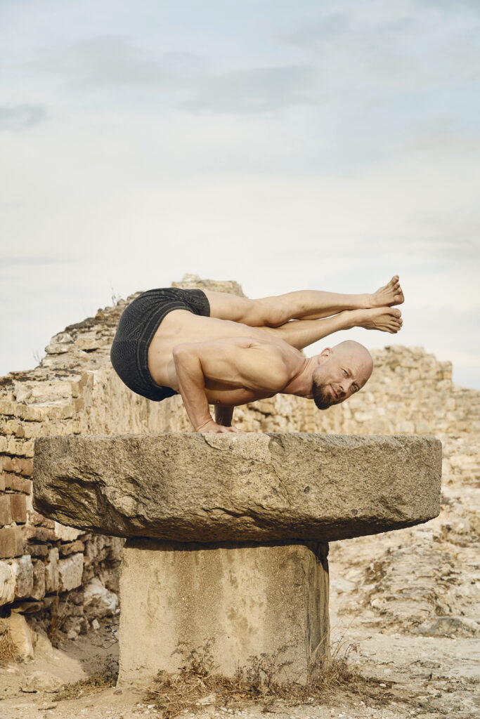 Ronald Steiner Cat Cow Festival