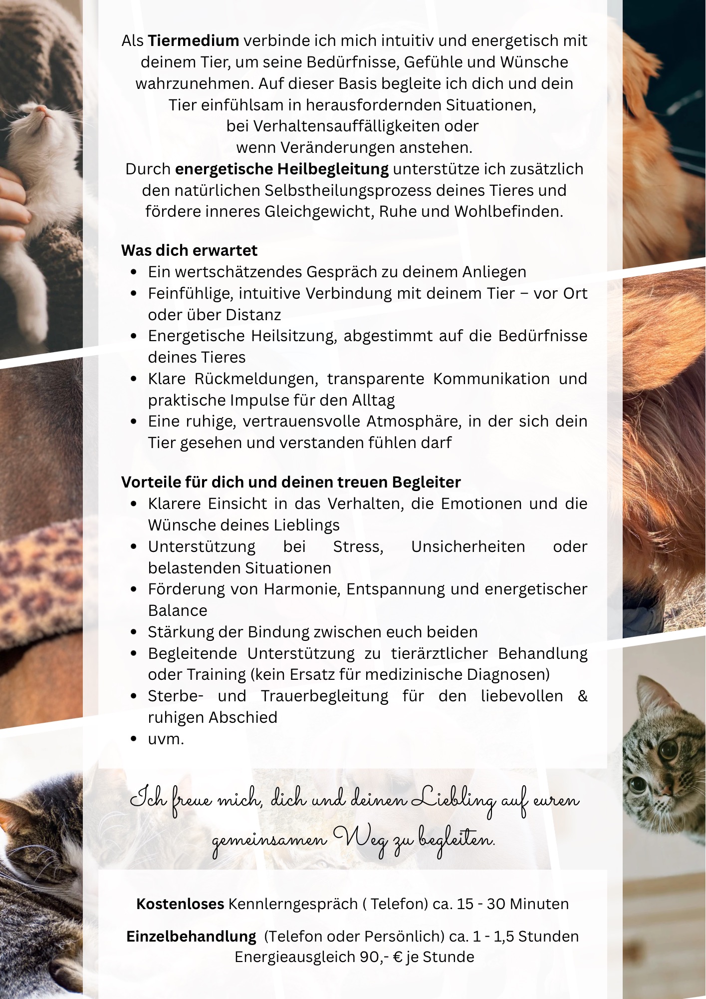 Rosa Weiss Einfach Collage Handmade Makramee Flyer 4 05df14651f9d3738584b9691d7fa1ea5.jpeg