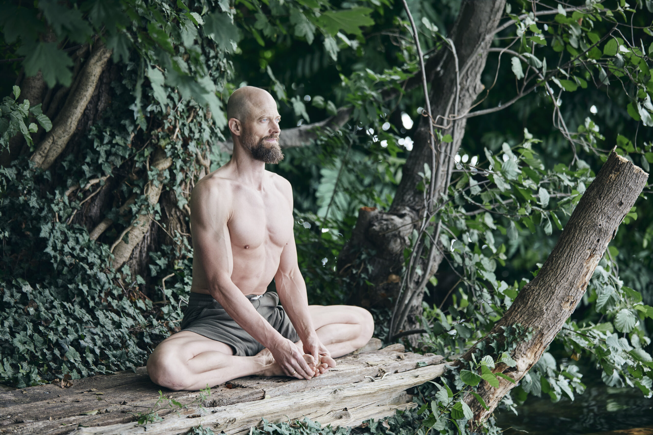 Yoga Doc Cat Cow Festival