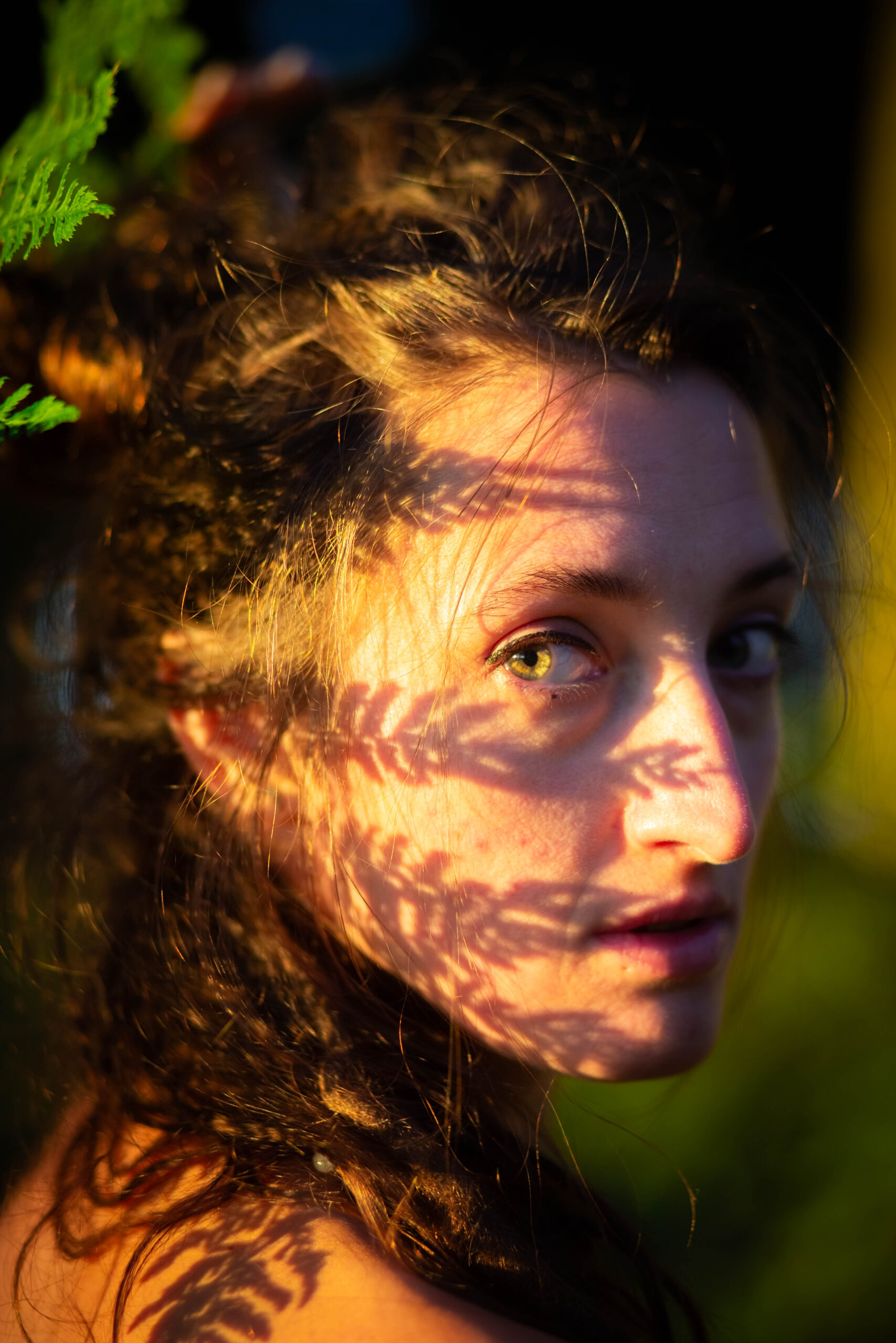 Rebecca Cat Cow Festival