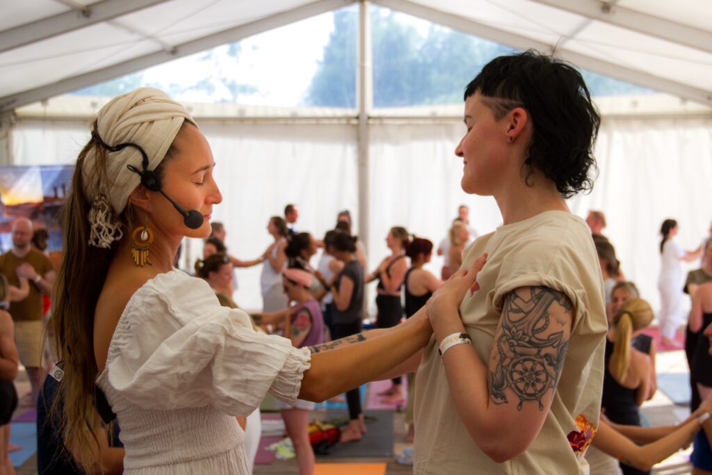 Siri Cat & Cow Festival